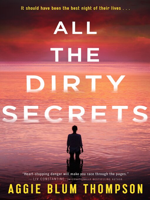 Title details for All the Dirty Secrets by Aggie Blum Thompson - Wait list